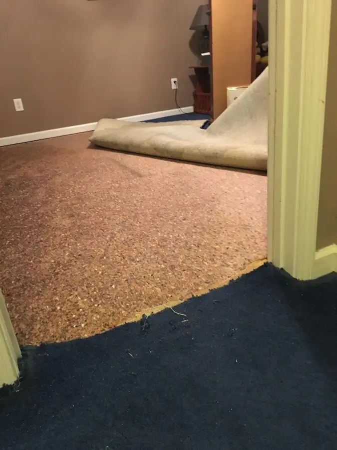 Carpet pad removal revealing water damage during Water Mitigation Services in Ecorse